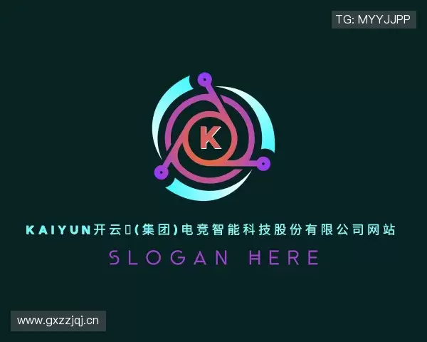 解读kaiyun开云